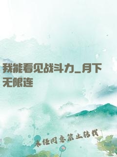 我能看见战斗力