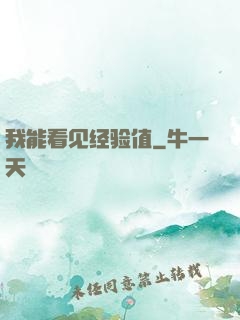 我能看见经验值