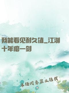 我能看见耐久值