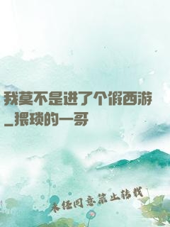 我莫不是进了个假西游