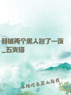 我被两个黑人包了一夜