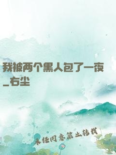 我被两个黑人包了一夜