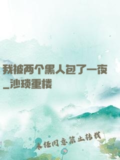 我被两个黑人包了一夜