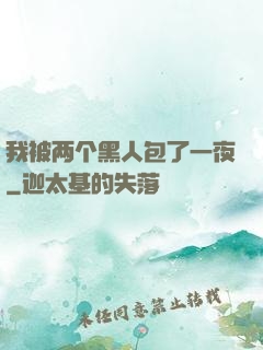 我被两个黑人包了一夜