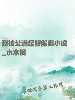 我被公满足舒服爽小说