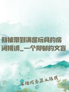 我被带到满是玩具的房间挑调