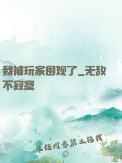 我被玩家围观了