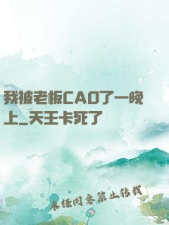 我被老板CAO了一晚上