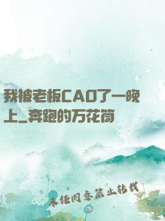 我被老板CAO了一晚上