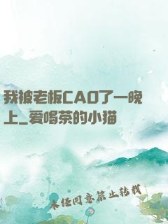 我被老板CAO了一晚上