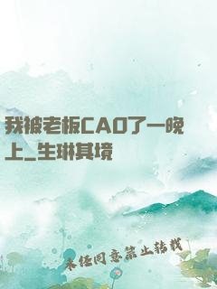 我被老板CAO了一晚上