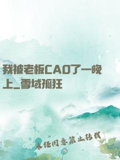 我被老板CAO了一晚上