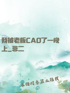 我被老板CAO了一晚上