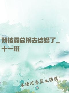 我被霸总拐去结婚了