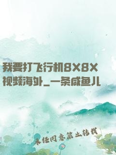 我要打飞行机8X8X视频海外