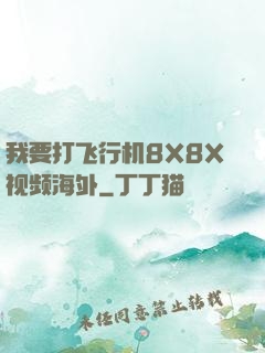 我要打飞行机8X8X视频海外