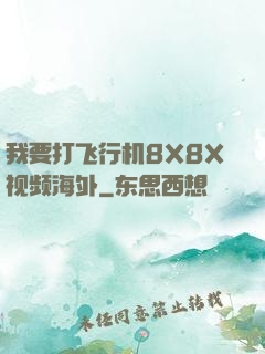 我要打飞行机8X8X视频海外