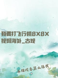 我要打飞行机8X8X视频海外
