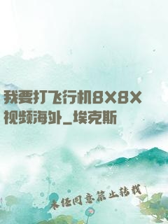 我要打飞行机8X8X视频海外