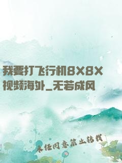 我要打飞行机8X8X视频海外