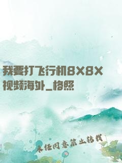 我要打飞行机8X8X视频海外