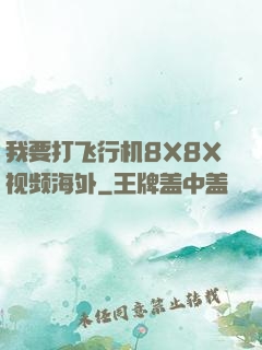 我要打飞行机8X8X视频海外