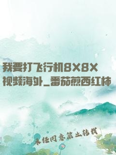我要打飞行机8X8X视频海外