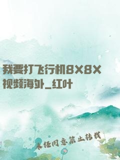 我要打飞行机8X8X视频海外