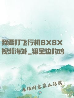 我要打飞行机8X8X视频海外