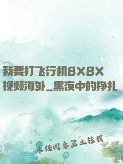 我要打飞行机8X8X视频海外