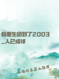 我重生回到了2003