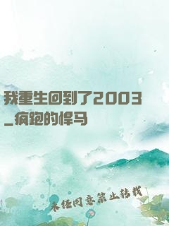 我重生回到了2003