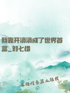 我靠开滴滴成了世界首富