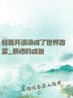 我靠开滴滴成了世界首富