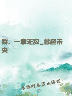 我，一拳无敌