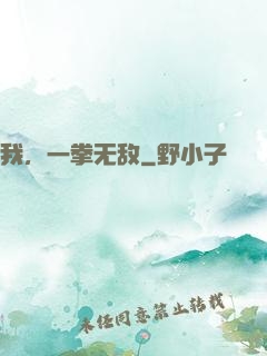 我，一拳无敌
