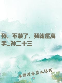 我，不装了，我就是高手