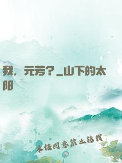 我，元芳？