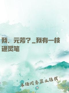 我，元芳？