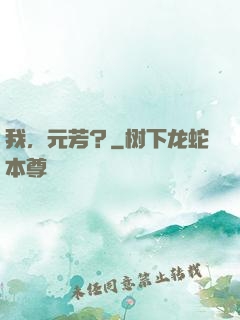 我，元芳？