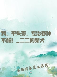 我，平头哥，专治各种不服！