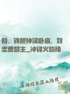 我，铁胆神侯卧底，效忠曹督主