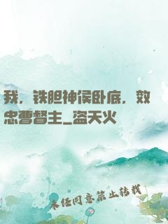 我，铁胆神侯卧底，效忠曹督主