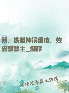 我，铁胆神侯卧底，效忠曹督主