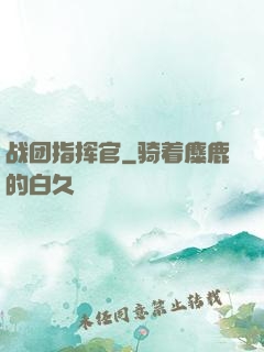 战团指挥官