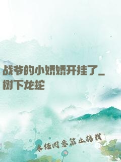 战爷的小娇娇开挂了