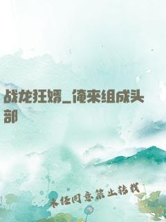 战龙狂婿