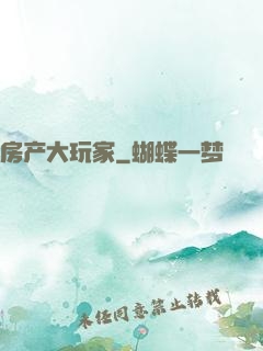房产大玩家