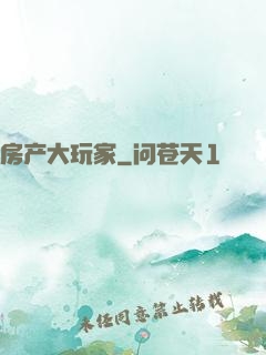 房产大玩家