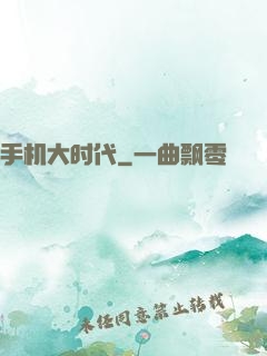 手机大时代
